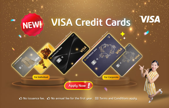 VISA Credit Cards